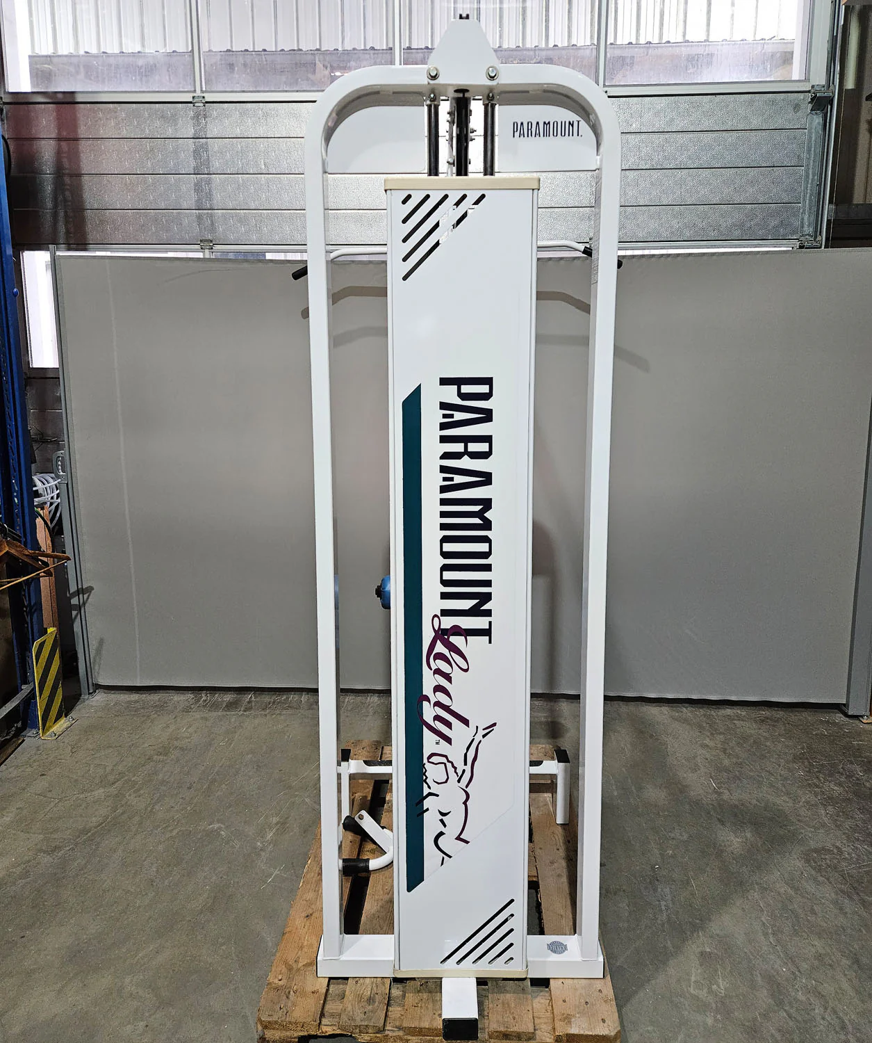 Paramount Lat-Row Model 700 - Latzug von Oben am Kabel sowie Rudern am Kabel - 2 in 1 Kombigerät, Pulldown and Row, Made in USA, gebraucht - geprüfter Zustand - Image 3