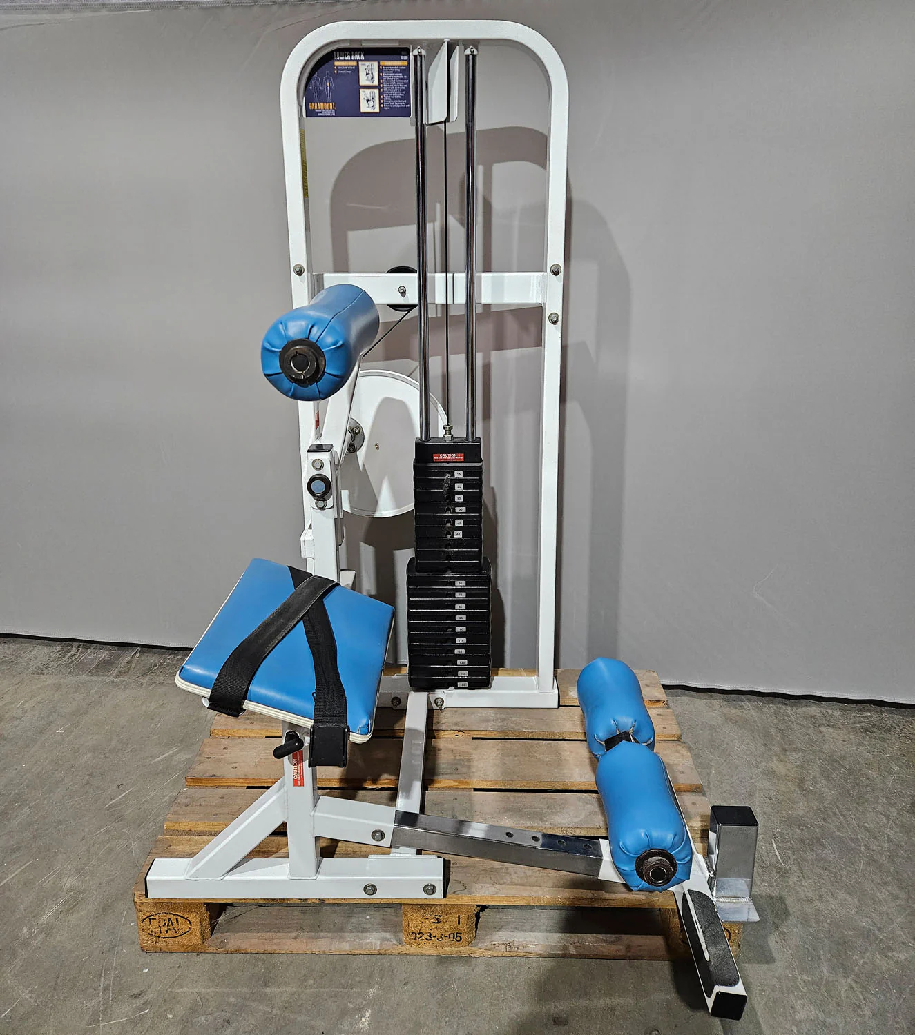 Paramount Lower Back Model FL 1200 - Back Extension, Rückenstreckermaschine, Hyperextension, Made in USA, gebraucht - geprüfter Zustand - Image 2