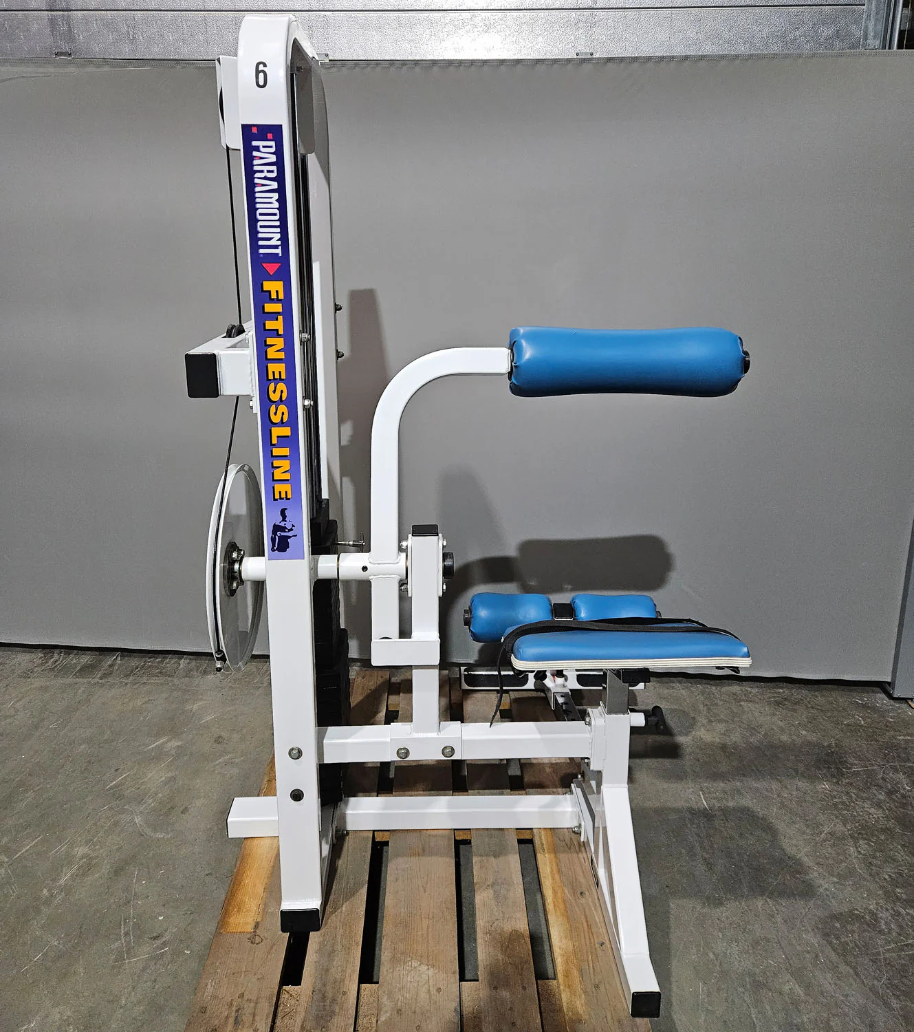 Paramount Lower Back Model FL 1200 - Back Extension, Rückenstreckermaschine, Hyperextension, Made in USA, gebraucht - geprüfter Zustand - Image 3