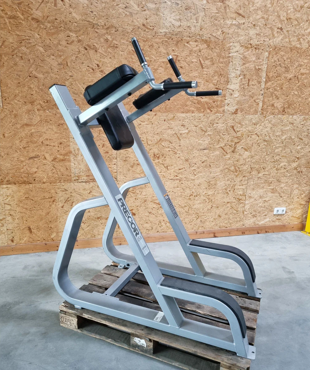 Precor Dip- und Beinhebenständer, Leg Raise, Rahmen Silber, Polster Schwarz, gebraucht - überholter Zustand - Image 2