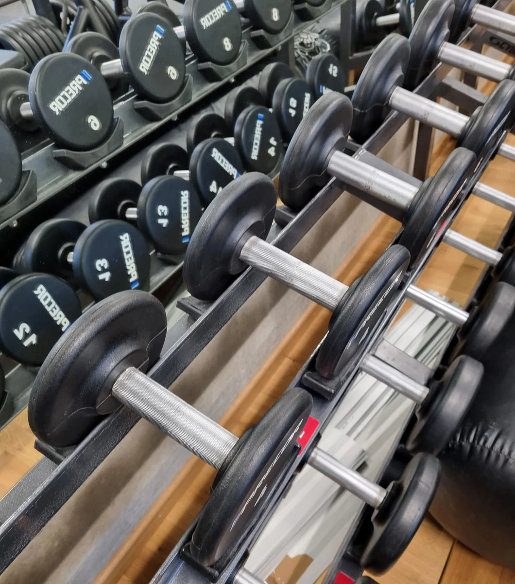 Precor Kurzhantel Satz aus PU Polyurethan Gummiert, 2 bis 30kg, verschiedene Stufen, erst 3 Jahre alt, Schwarz, gebraucht - guter Zustand - Image 14