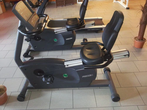 Precor Recumbent 846, Liegeergometer, gebraucht - überholter Zustand - Image 2