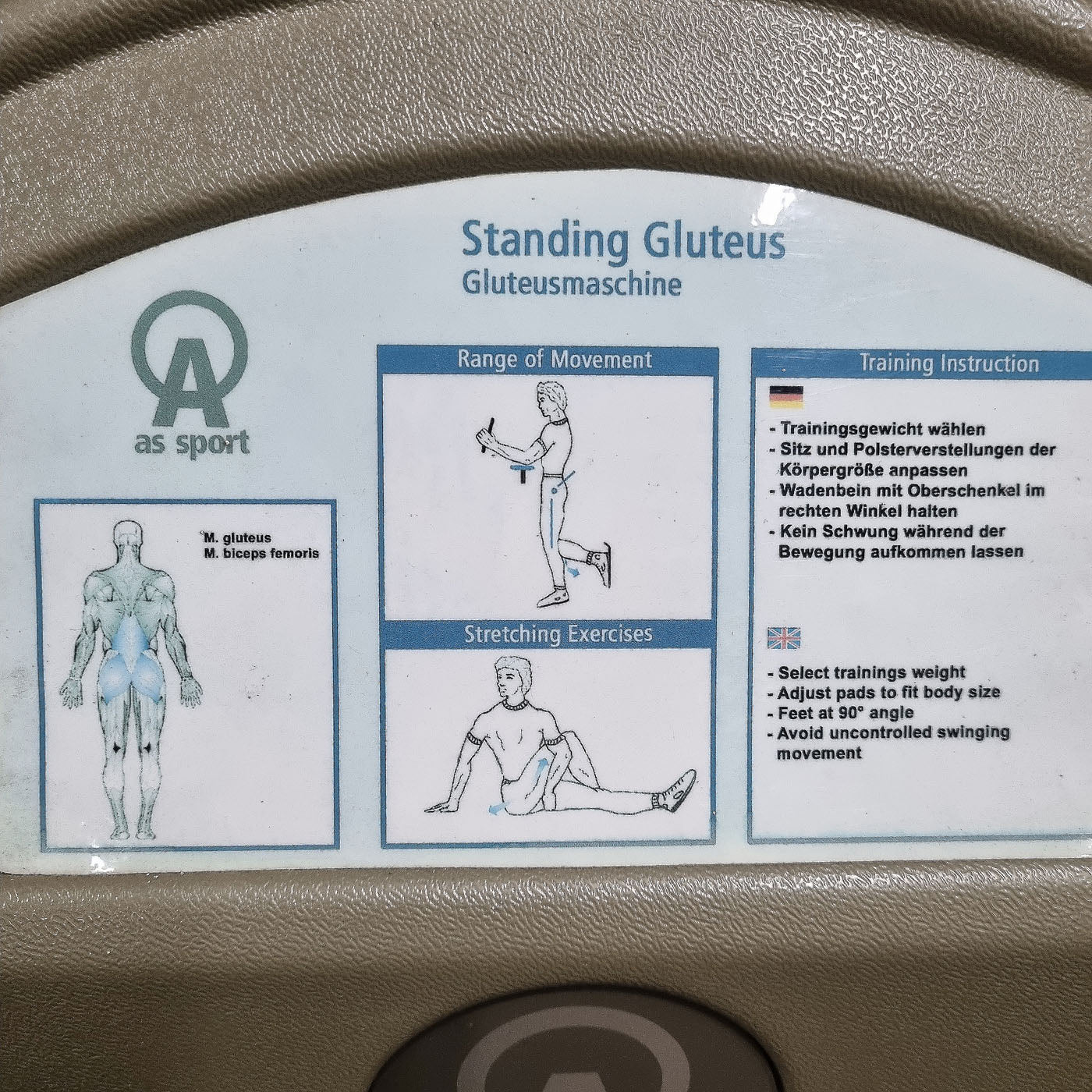 Proxomed / AS, Gluteusmaschine, Pomaschine, stehend, gebraucht - überholter Zustand - Image 2