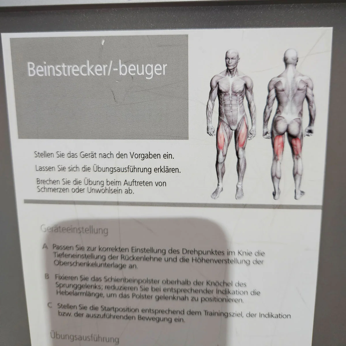 Proxomed Compass 530 Beinstrecker und Beinbeuger sitzend Kombigerät 2 in 1, Leg Curl and Leg Extension, MPG, Reha, Rahmen Silber, gerbaucht - überholter Zustand - Image 11