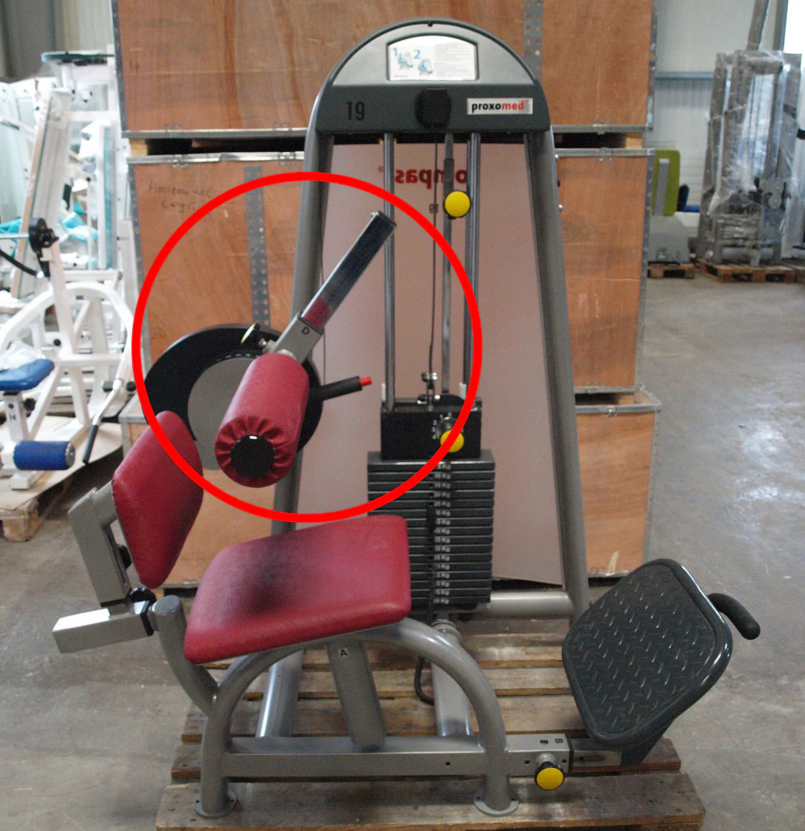 Proxomed Compass 530 Rückenbeuger, Bauchmaschine, Abs, MPG, gebraucht - überholter Zustand - Image 6