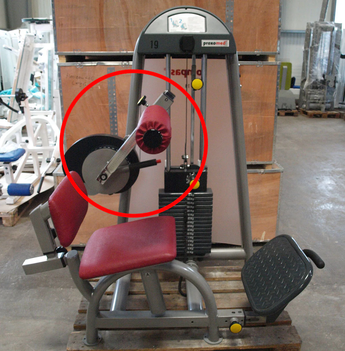 Proxomed Compass 530 Rückenbeuger, Bauchmaschine, Abs, MPG, gebraucht - überholter Zustand - Image 7