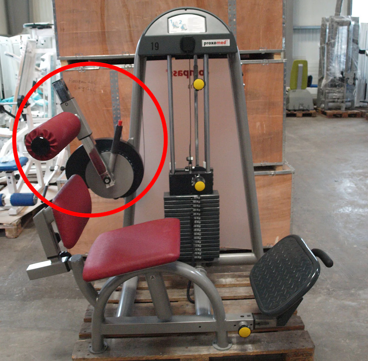 Proxomed Compass 530 Rückenbeuger, Bauchmaschine, Abs, MPG, gebraucht - überholter Zustand - Image 8