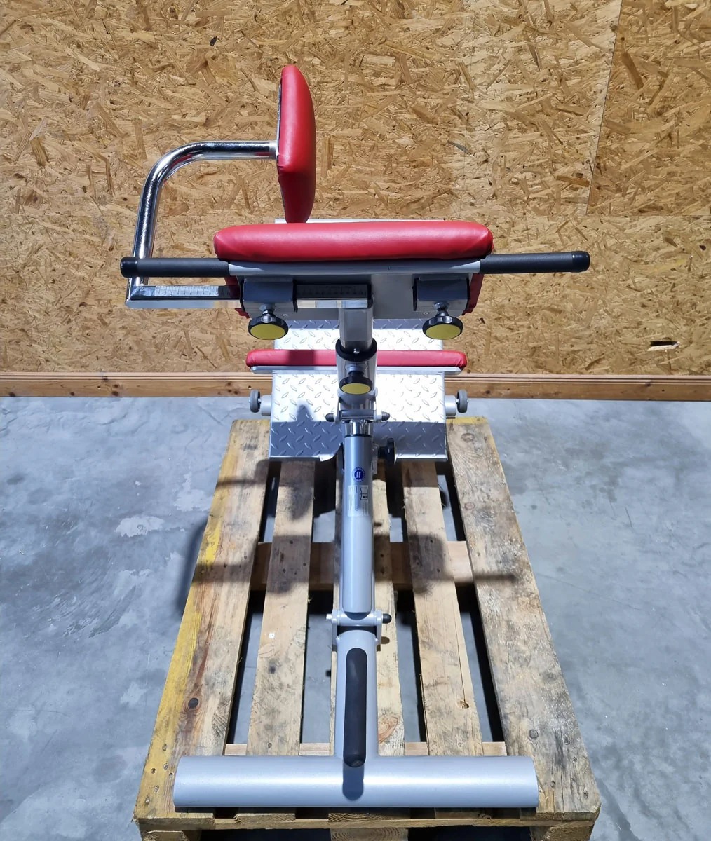 Proxomed Rückentrainer Kombi, Compass 530, Rückenstreckerbank 45° Hyperextension, Lateral Trainer, MPG, Reha, Rahmenfarbe Silber, gebraucht - überholter Zustand - Image 6