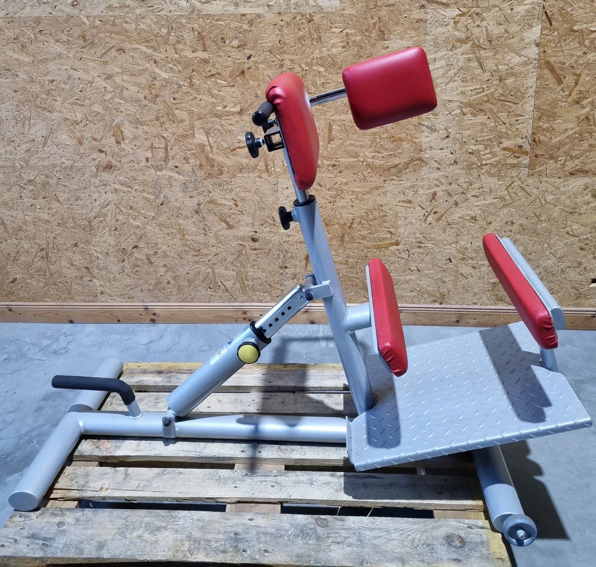 Proxomed Rückentrainer Kombi, Compass 530, Rückenstreckerbank 45° Hyperextension, Lateral Trainer, MPG, Reha, Rahmenfarbe Silber, gebraucht - überholter Zustand - Image 7