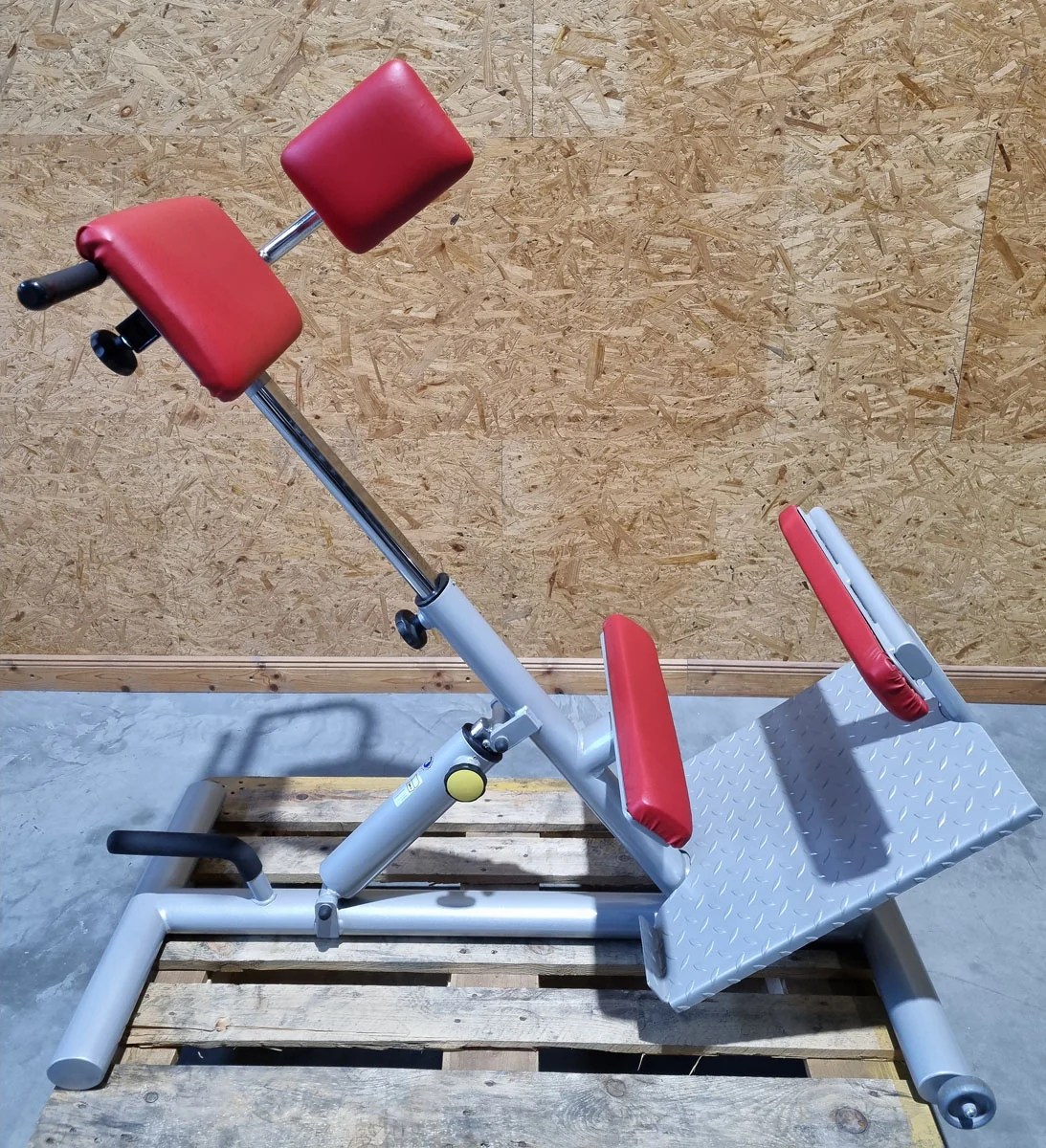 Proxomed Rückentrainer Kombi, Compass 530, Rückenstreckerbank 45° Hyperextension, Lateral Trainer, MPG, Reha, Rahmenfarbe Silber, gebraucht - überholter Zustand - Image 8