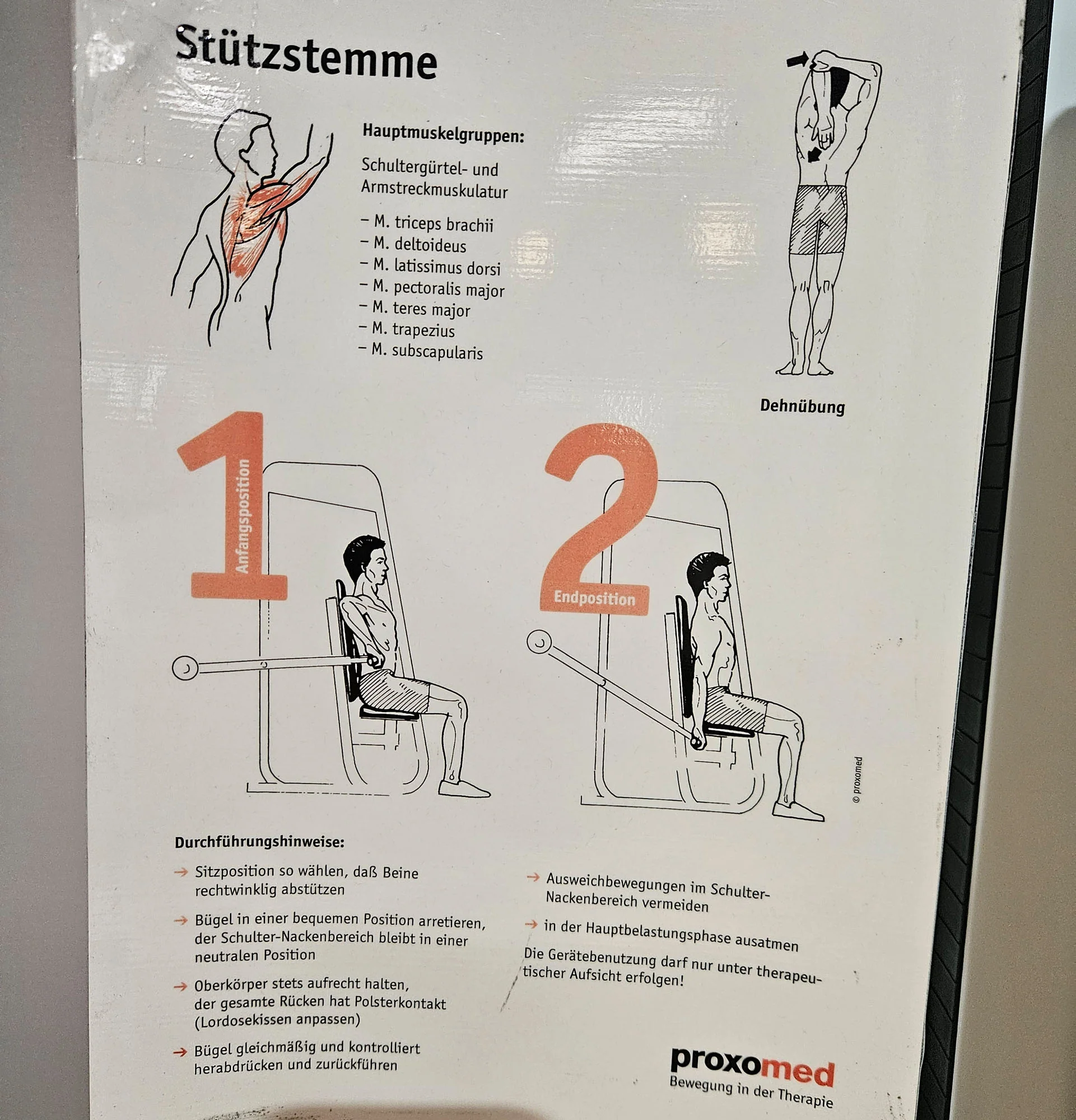 Proxomed, Stützstemme, Dips, Trizepsmaschine, Armstrecker, Compass Serie, Farbe Weiß, gebraucht - geprüfter Zustand mit Gebrauchsspuren - Image 11