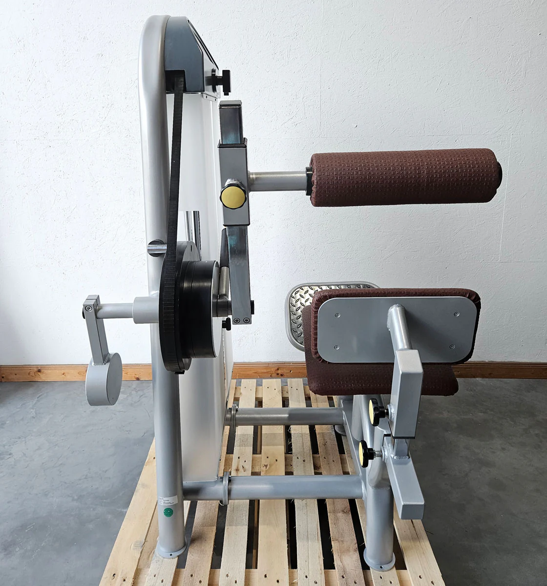 Proxowell bzw Proxomed Rückenflexion, Bauchmaschine, Rückenbeuger, Abdominal Crunch, 100kg Gewichtsblock, Compass bzw C-Well Serie, Rahmenfarbe Silber, gebraucht - überholter Zustand - Image 4