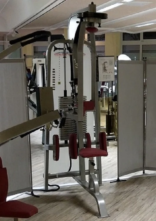 RMA Rumpfrotator - Rotationsmaschine - seitliche Bauchmuskeln, Silber, gebraucht - überholter Zustand - Image 2