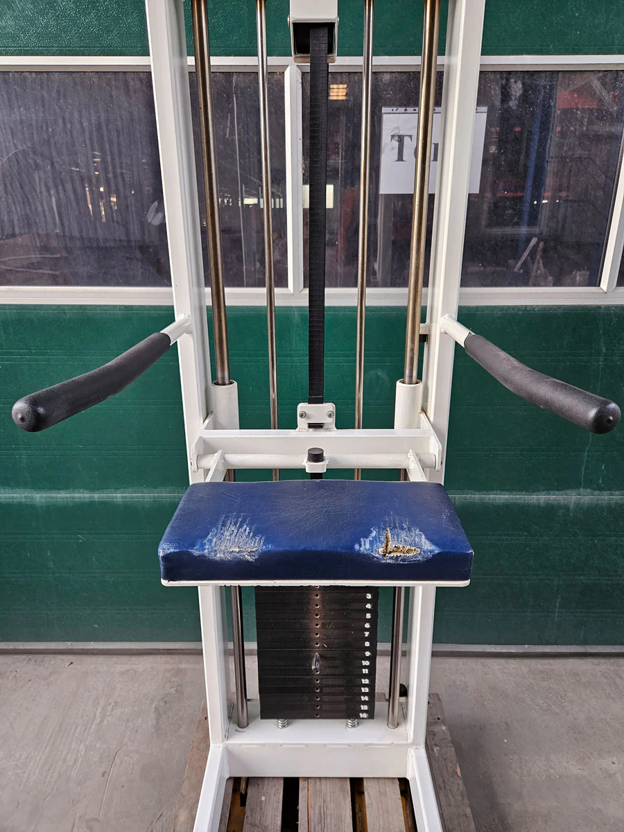 Sportesse DipChin, Dip-Klimmzugmaschine mit Gewichtsunterstützung, Rahmen Weiß, Polster NEU in Wunschfarbe, gebraucht - Image 6
