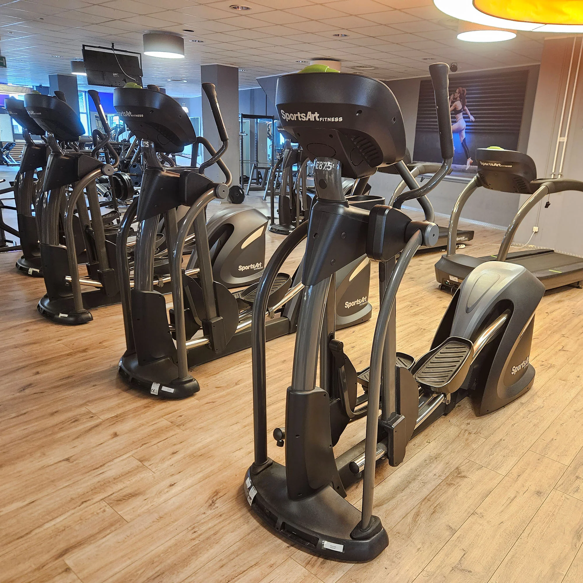 SportsArt komplette Fitnessstudio Ausstattung - 75 Fitnessgeräte im Set - Kraftgeräte, Cardiogeräte, Bänke, Racks etc - Rahmen Anthrazit, gebraucht - überholter Zustand - Image 62