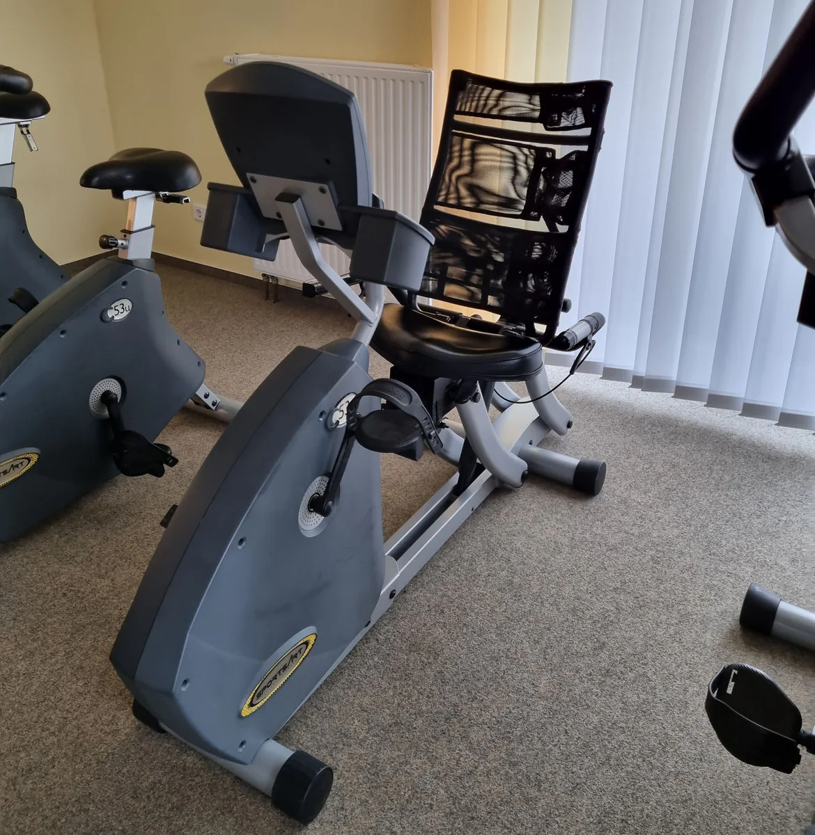 SportsArt Recumbent C53r Liegeergometer, gebraucht - überholter Zustand - Image 2
