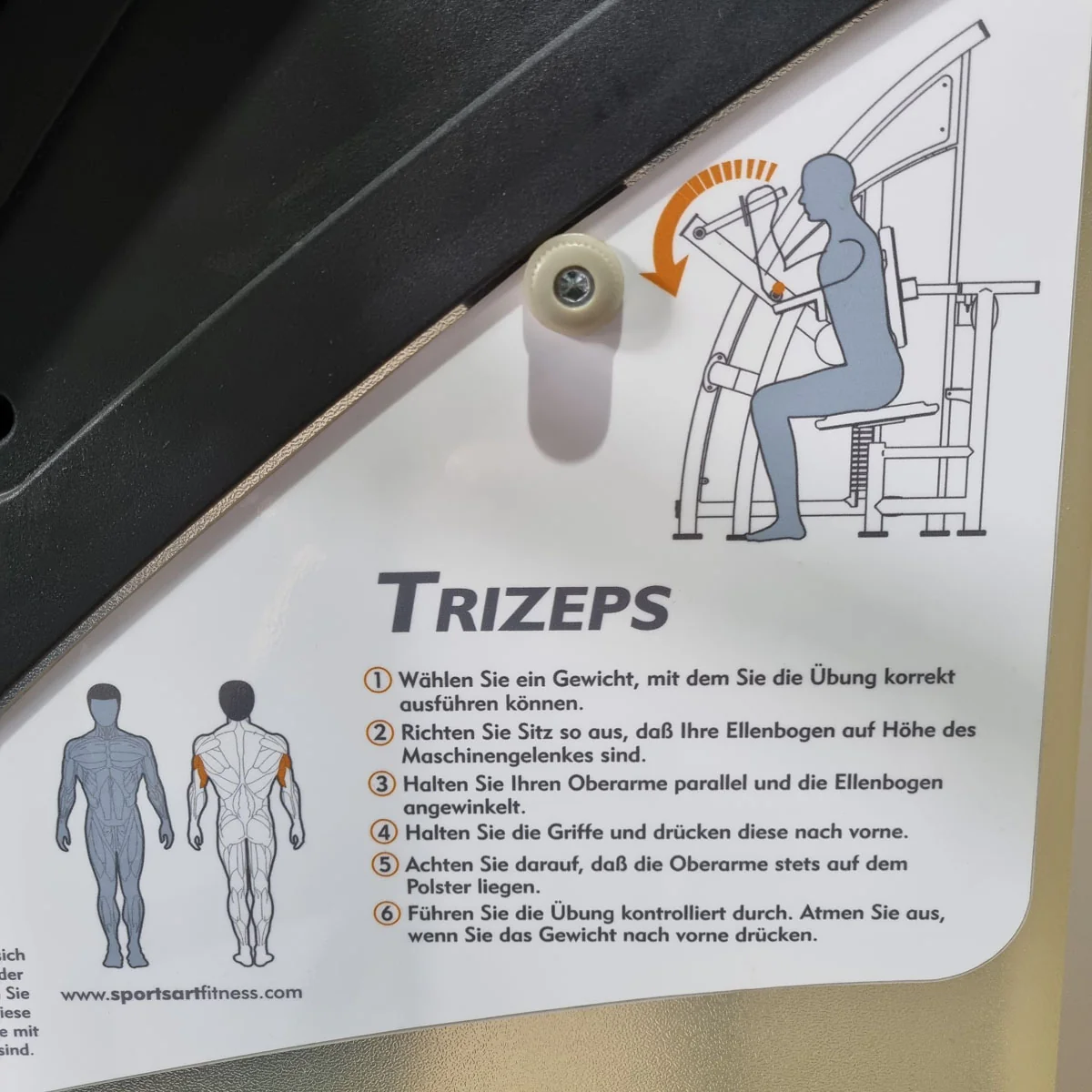SportsArt Trizepsmaschine Horizontal S925 A925 N925 Trizepsstrecker, Triceps Extension, Rahmenfarbe Silber, gebraucht - überholter Zustand - Image 10