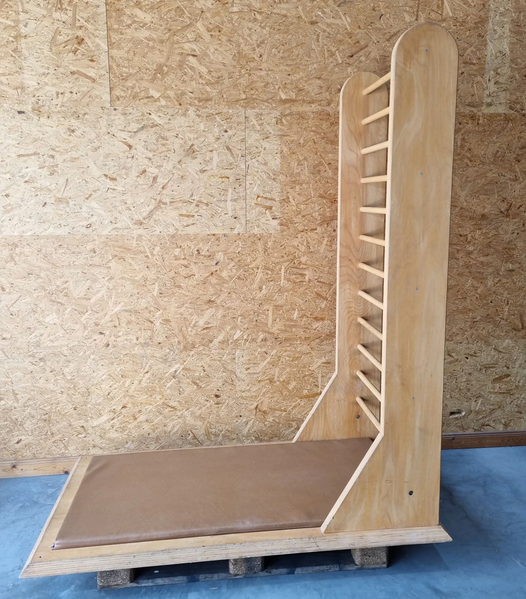 Sprossenwand zum dehnen mit Polster, diverse Übungen möglich, Polsterfarbe Braun, gebrauchter Zustand - Image 3