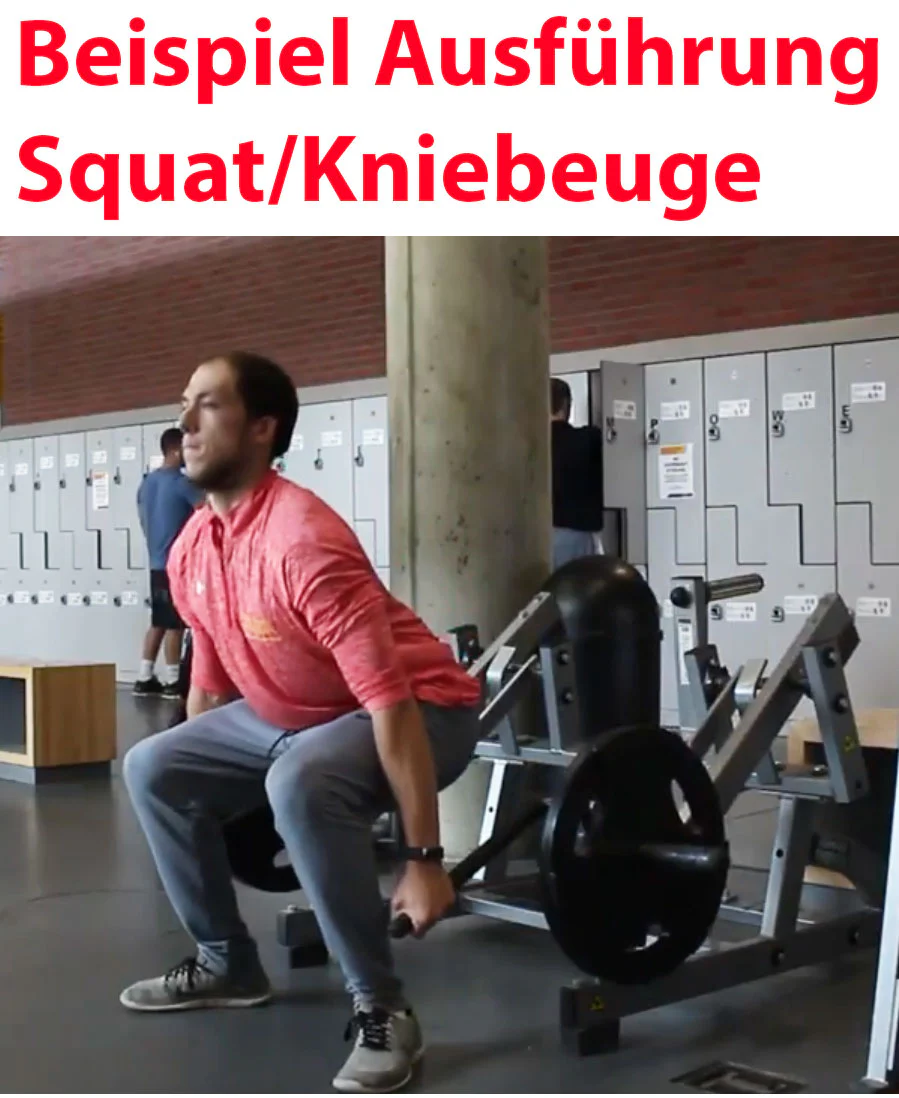 Squat High Pull - Plate loaded Kraftgerät, Hammer Strength Nachbau, gebraucht - geprüfter Zustand - Image 4