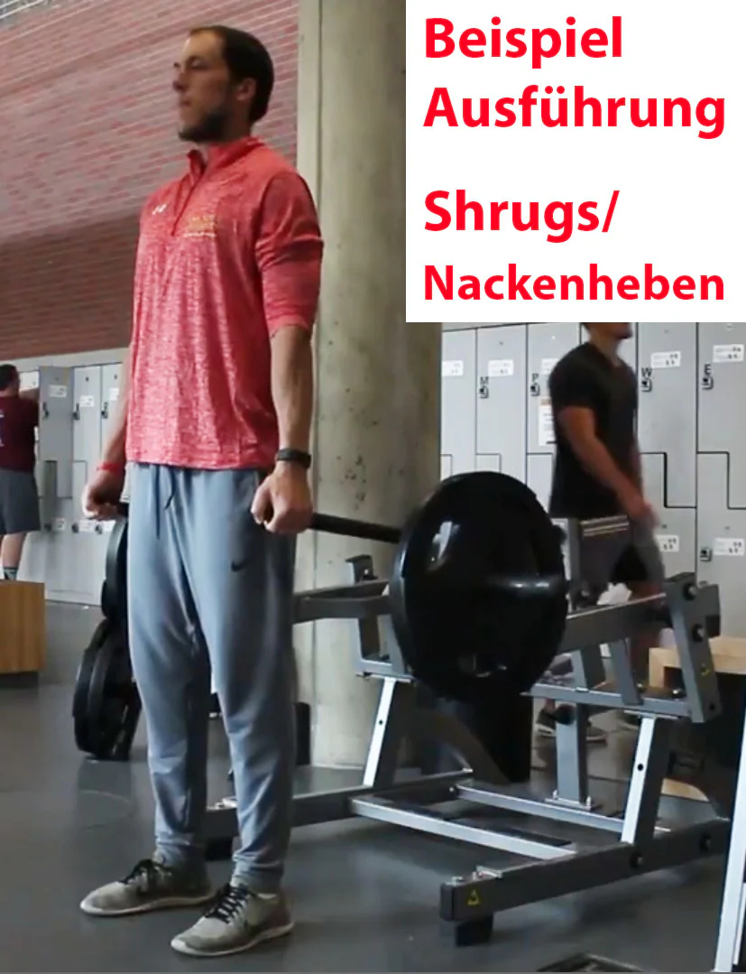Squat High Pull - Plate loaded Kraftgerät, Hammer Strength Nachbau, gebraucht - geprüfter Zustand - Image 8