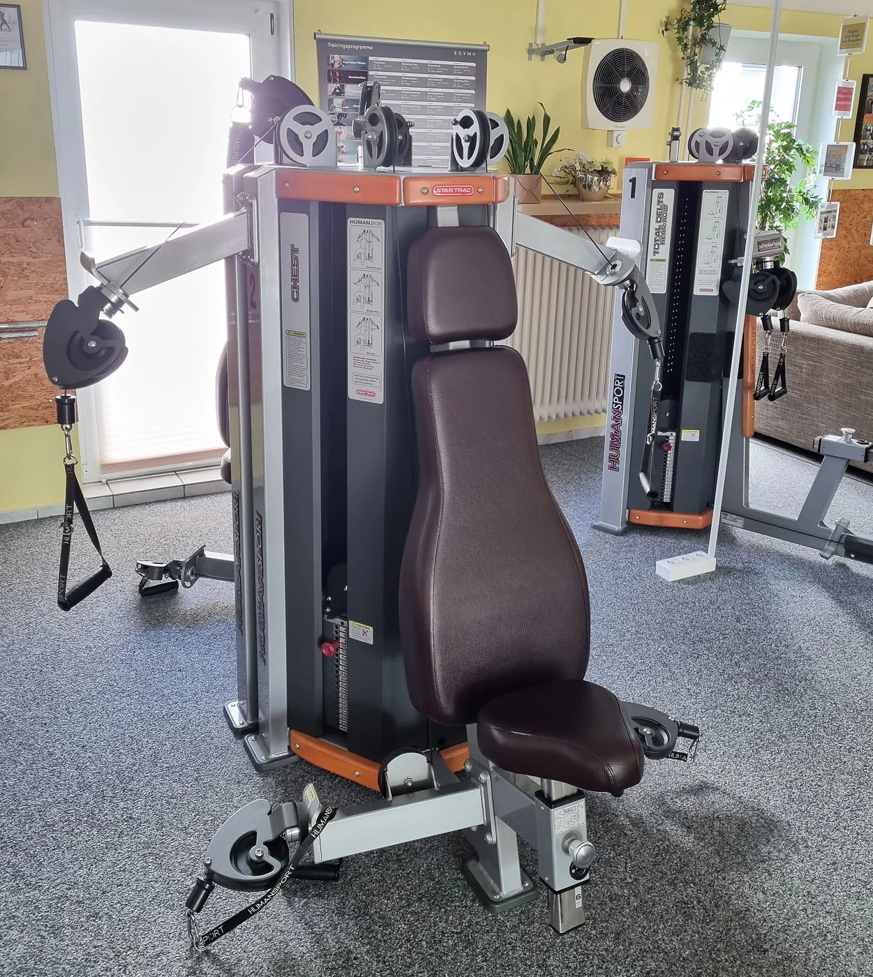 StarTrac Human Sports Line Zirkel, 6 Kraftgeräte im Set, gebraucht, überholter Zustand - Image 12