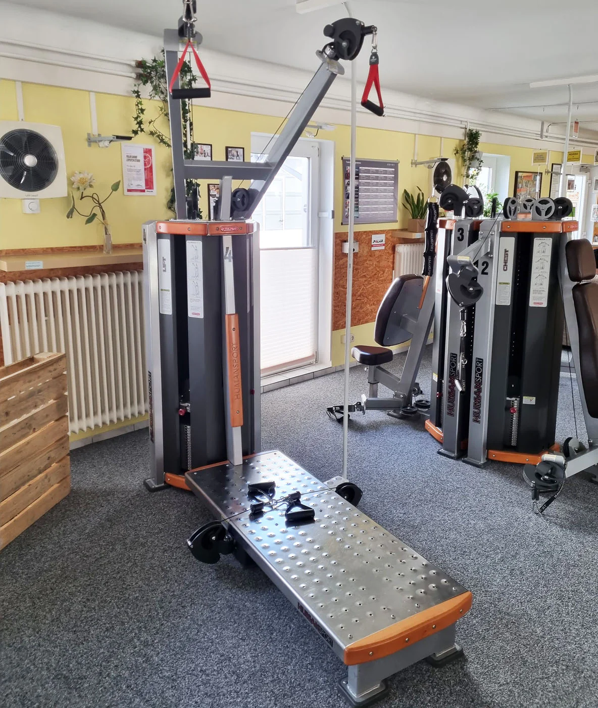 StarTrac Human Sports Line Zirkel, 6 Kraftgeräte im Set, gebraucht, überholter Zustand - Image 14
