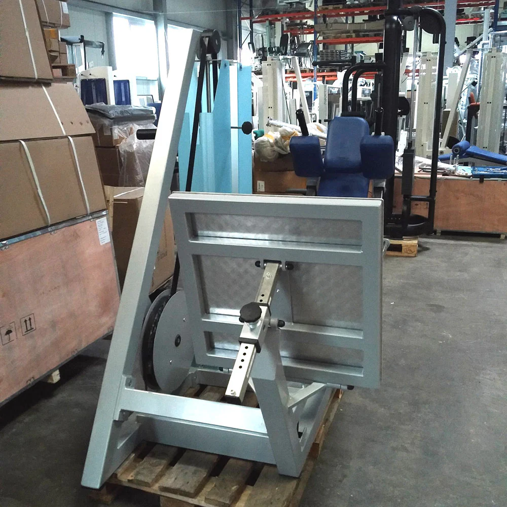 SVG Funktionsstemme, 200kg Gewichte, Kippkreisel, verstellbare Beinpresse, MPG, Reha Line, gebraucht - überholter Zustand - Image 11