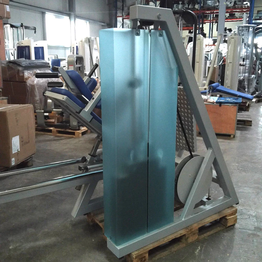 SVG Funktionsstemme, 200kg Gewichte, Kippkreisel, verstellbare Beinpresse, MPG, Reha Line, gebraucht - überholter Zustand - Image 13