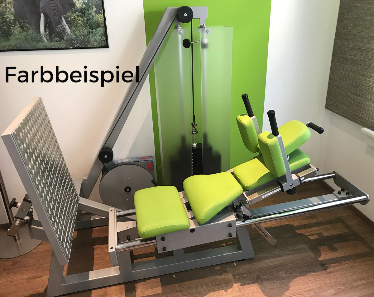 SVG Funktionsstemme, 200kg Gewichte, Kippkreisel, verstellbare Beinpresse, MPG, Reha Line, gebraucht - überholter Zustand - Image 14
