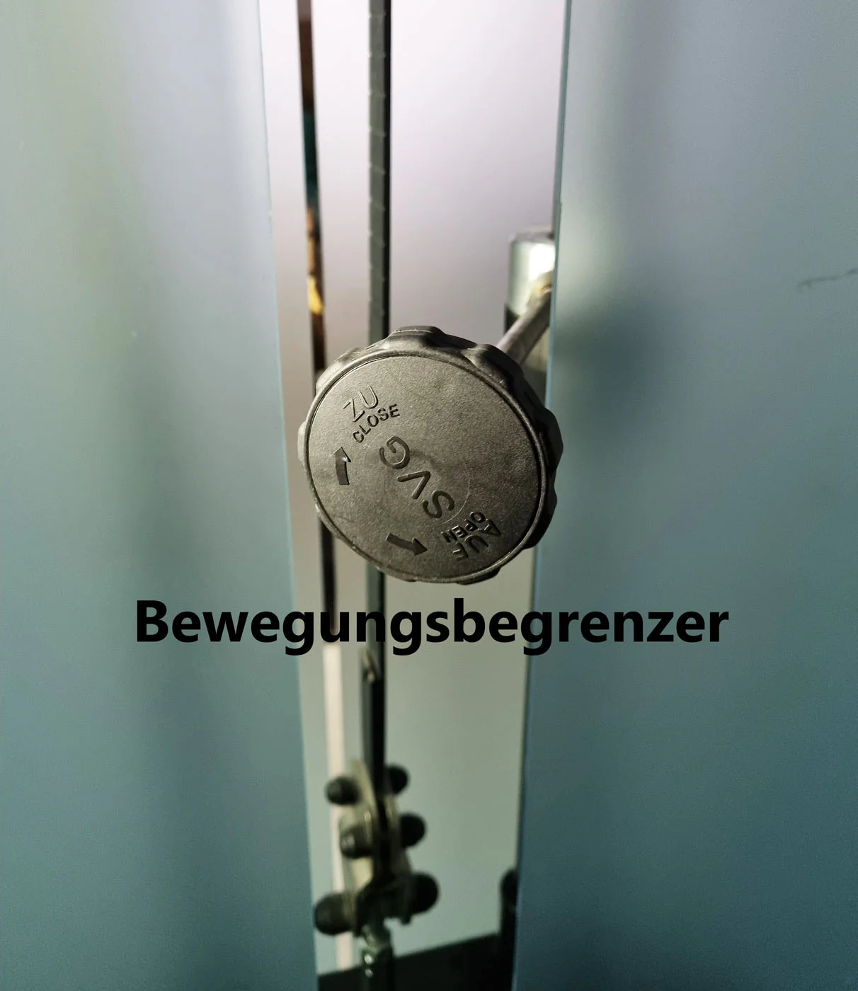 SVG Funktionsstemme, 200kg Gewichte, Kippkreisel, verstellbare Beinpresse, MPG, Reha Line, gebraucht - überholter Zustand - Image 18