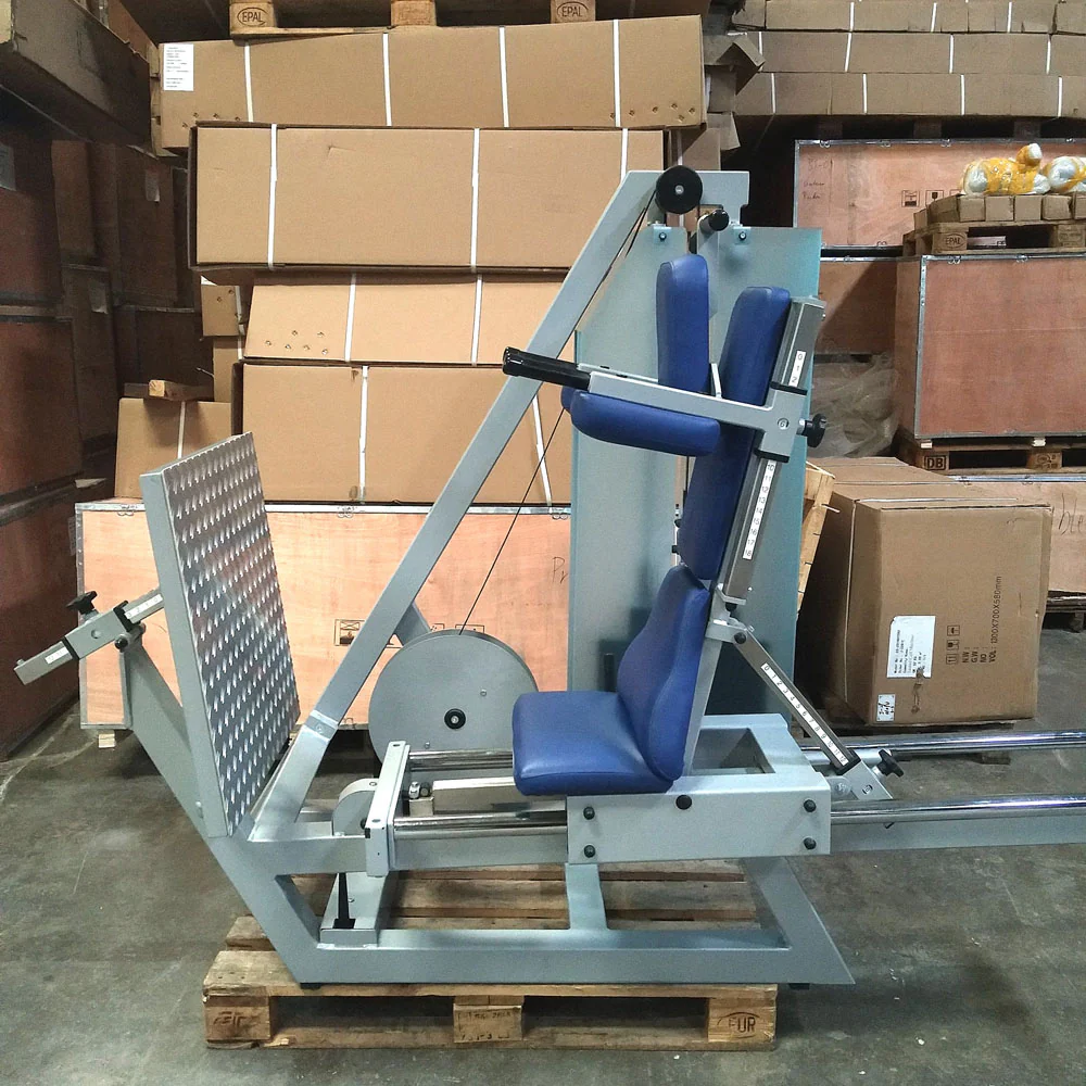 SVG Funktionsstemme, 200kg Gewichte, Kippkreisel, verstellbare Beinpresse, MPG, Reha Line, gebraucht - überholter Zustand - Image 2