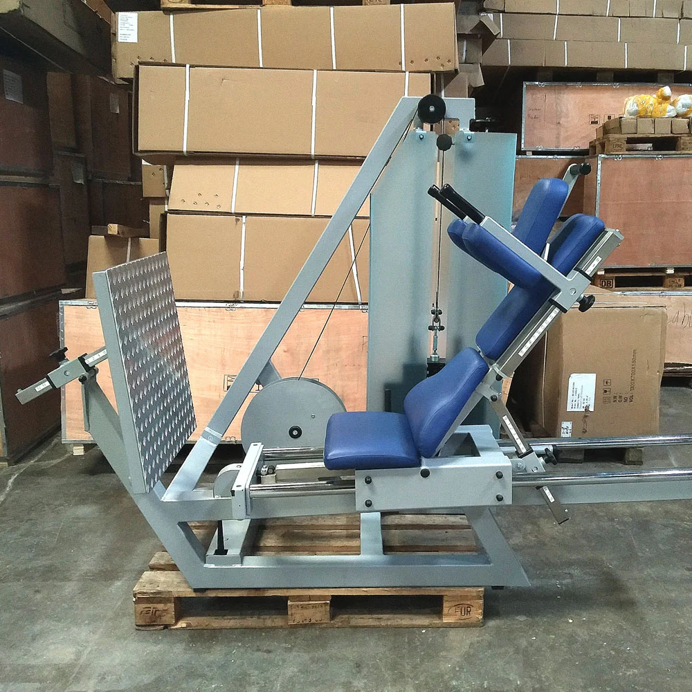 SVG Funktionsstemme, 200kg Gewichte, Kippkreisel, verstellbare Beinpresse, MPG, Reha Line, gebraucht - überholter Zustand - Image 3