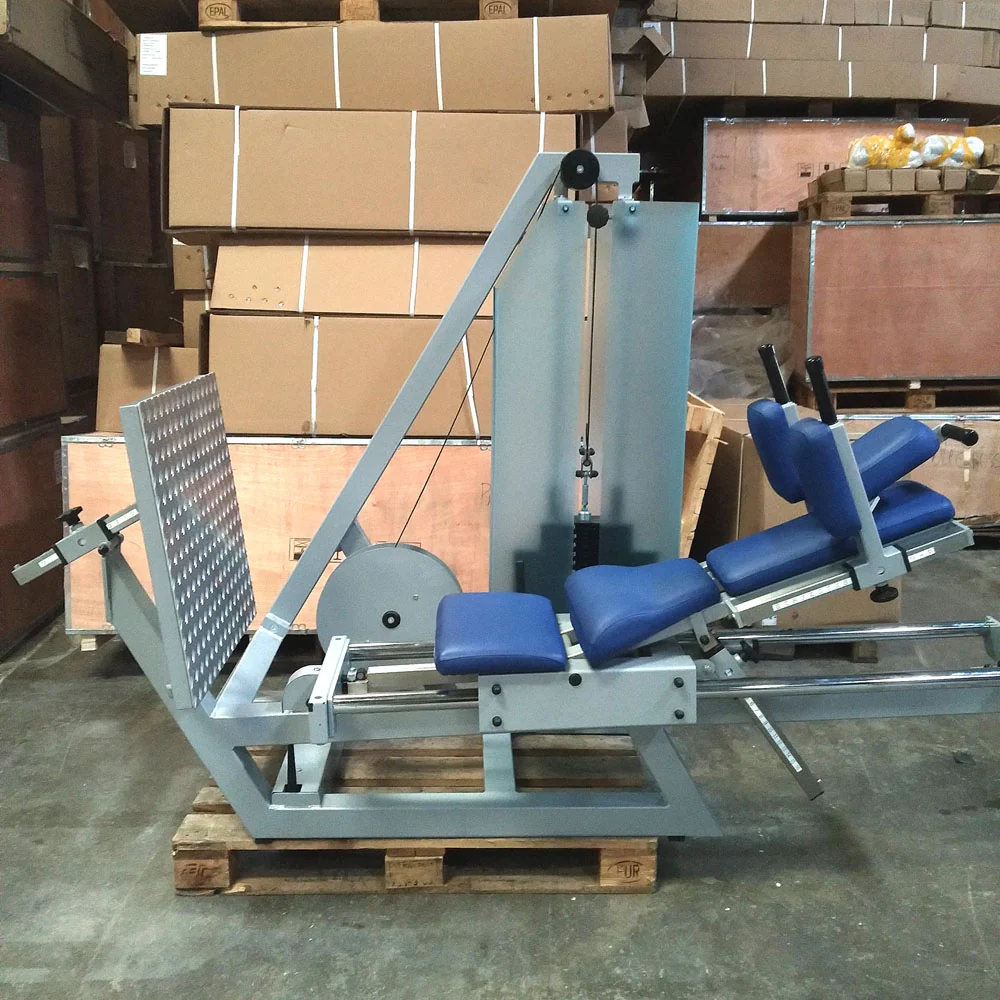 SVG Funktionsstemme, 200kg Gewichte, Kippkreisel, verstellbare Beinpresse, MPG, Reha Line, gebraucht - überholter Zustand - Image 4