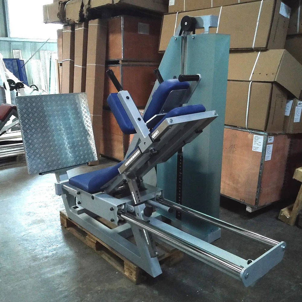 SVG Funktionsstemme, 200kg Gewichte, Kippkreisel, verstellbare Beinpresse, MPG, Reha Line, gebraucht - überholter Zustand - Image 5