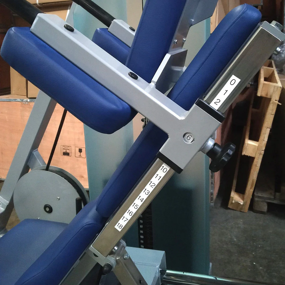 SVG Funktionsstemme, 200kg Gewichte, Kippkreisel, verstellbare Beinpresse, MPG, Reha Line, gebraucht - überholter Zustand - Image 7
