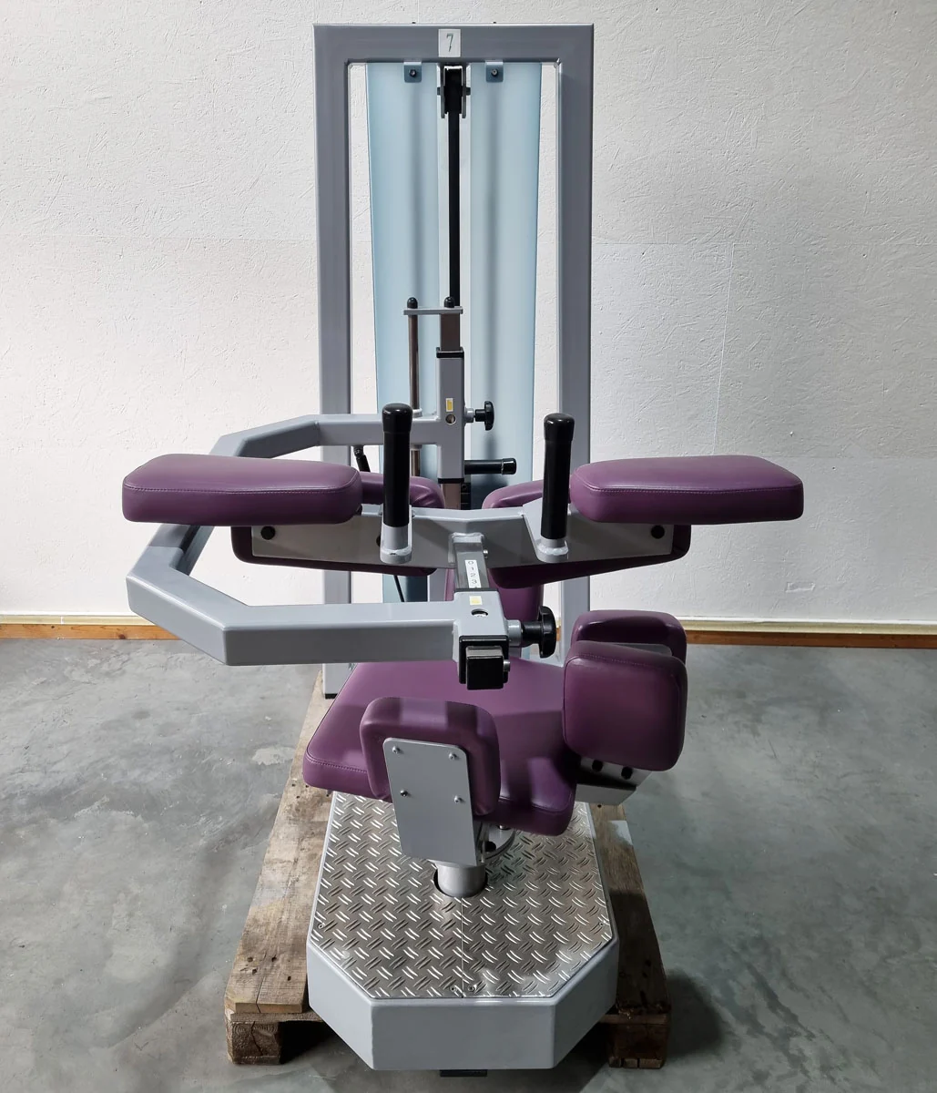 SVG Rumpfrotator - Rotationsmaschine - seitliche Bauchmuskeln, Rahmenfarbe Silber, Polsterfarbe Lila,  gebraucht - überholter Zustand - Image 2