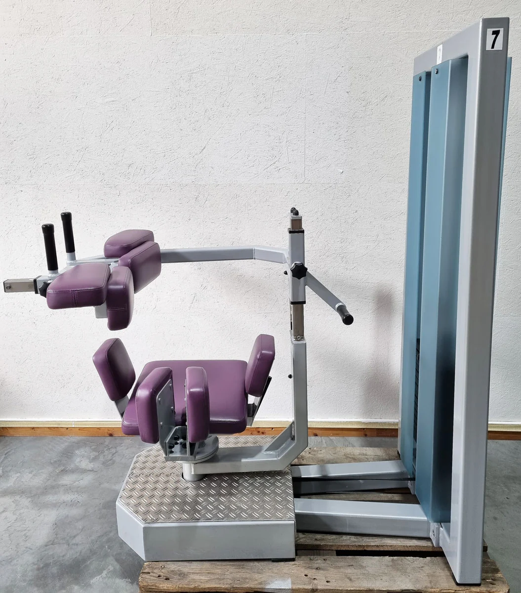 SVG Rumpfrotator - Rotationsmaschine - seitliche Bauchmuskeln, Rahmenfarbe Silber, Polsterfarbe Lila,  gebraucht - überholter Zustand - Image 3