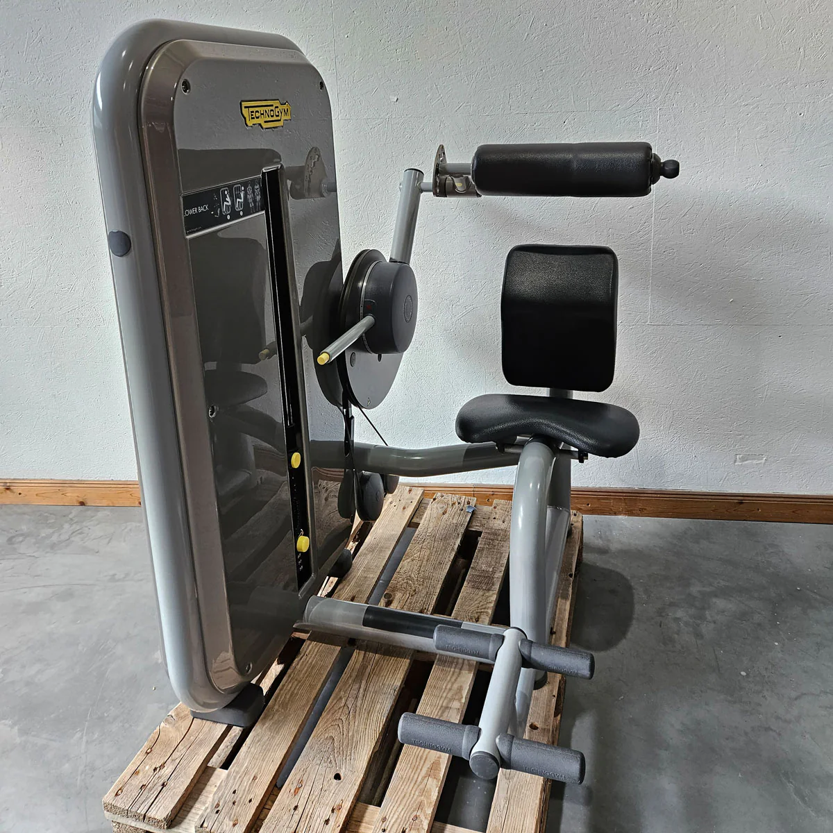TechnoGym 12 Kraftgeräte im Set, Element Line Serie, Kraftgerätepark Fitnessstudio, gebraucht - überholter Zustand - Image 14