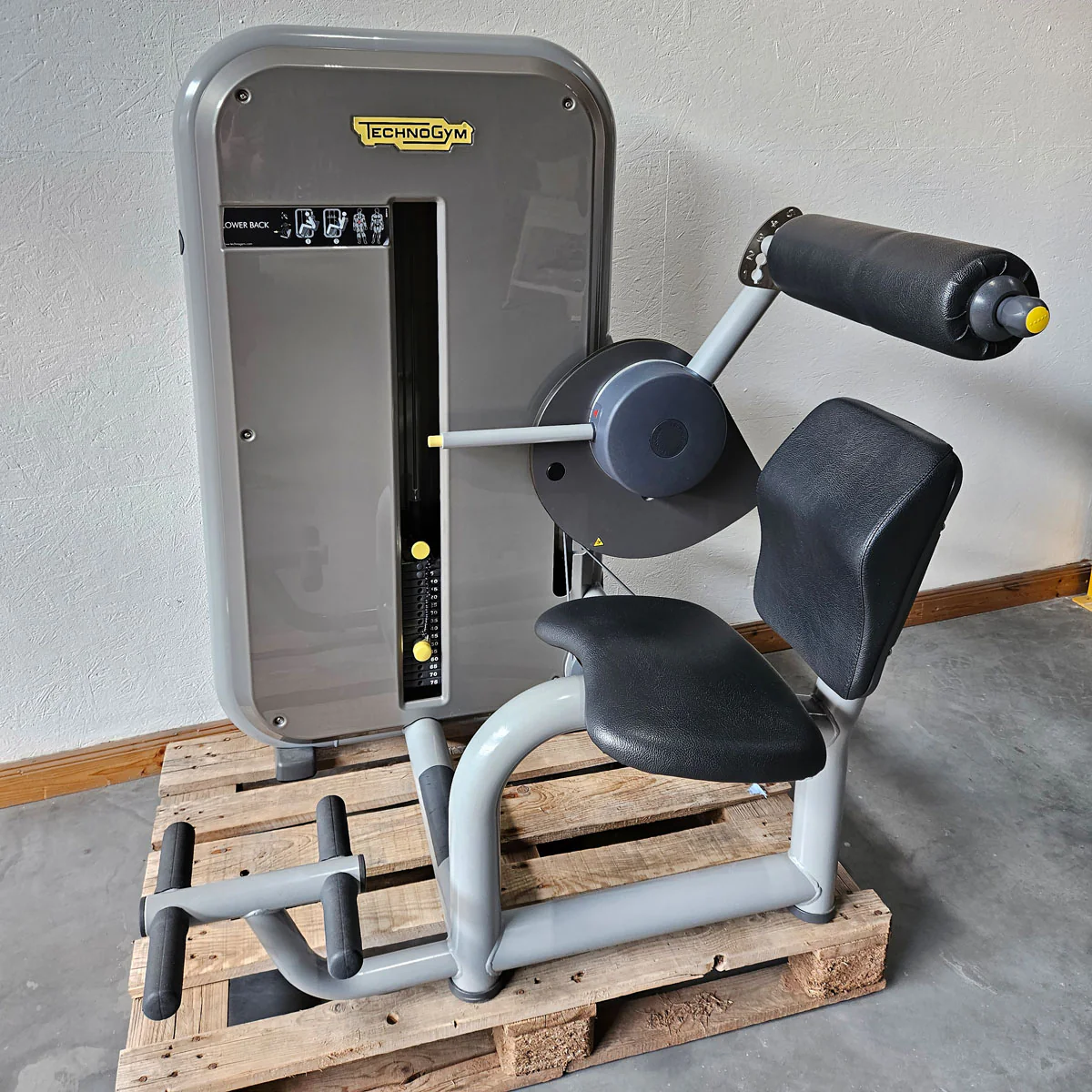 TechnoGym 12 Kraftgeräte im Set, Element Line Serie, Kraftgerätepark Fitnessstudio, gebraucht - überholter Zustand - Image 15