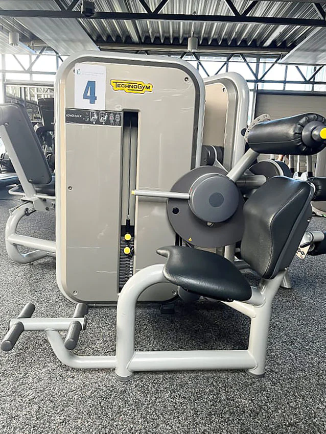 TechnoGym 13 Kraftgeräte im Set, Element Line Serie, gebraucht - überholter Zustand - Image 21