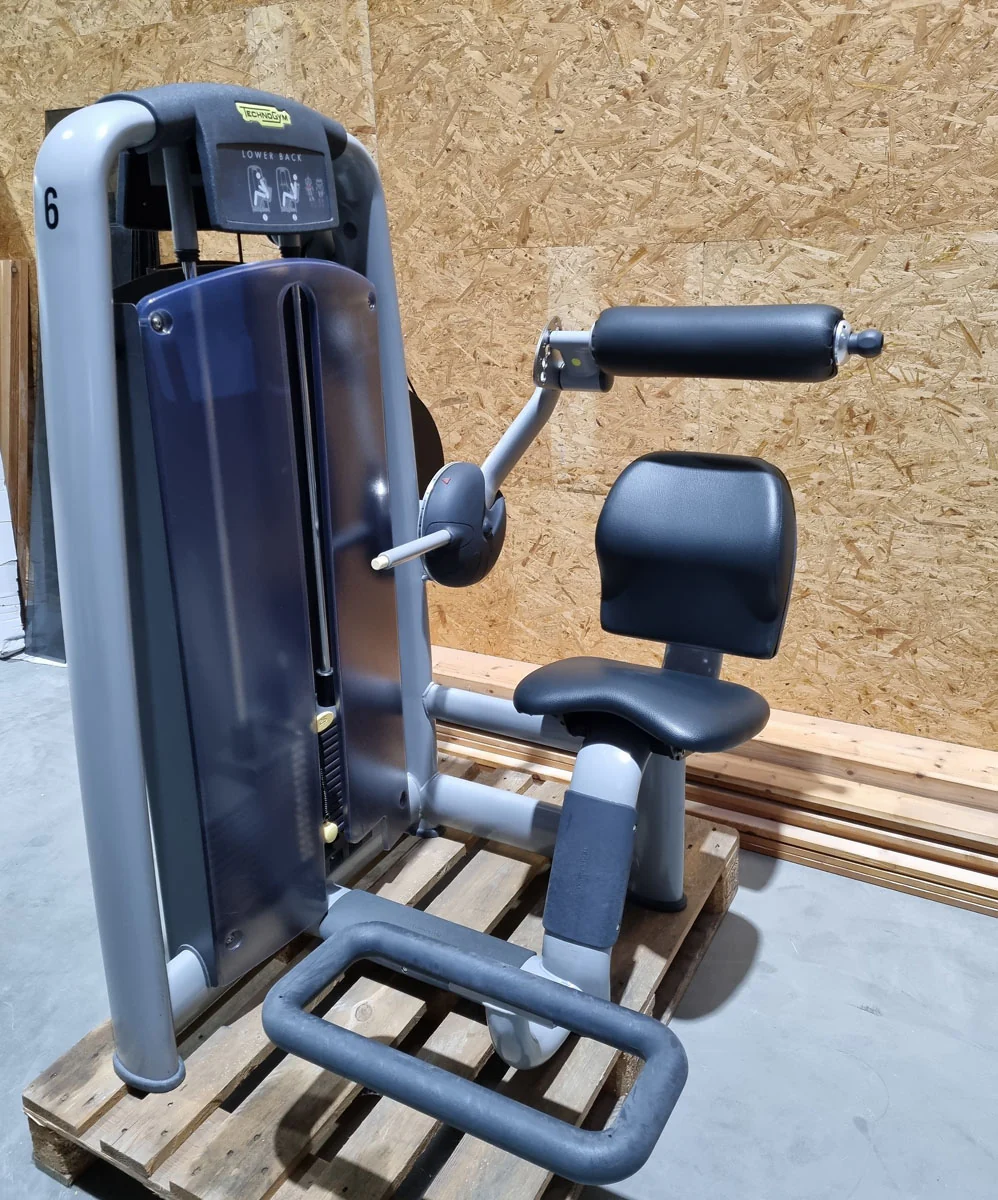 TechnoGym 20 Kraftgeräte im Set, Selection Line, Strength Machines with Stack Weight, gebraucht - überholter Zustand - Image 11