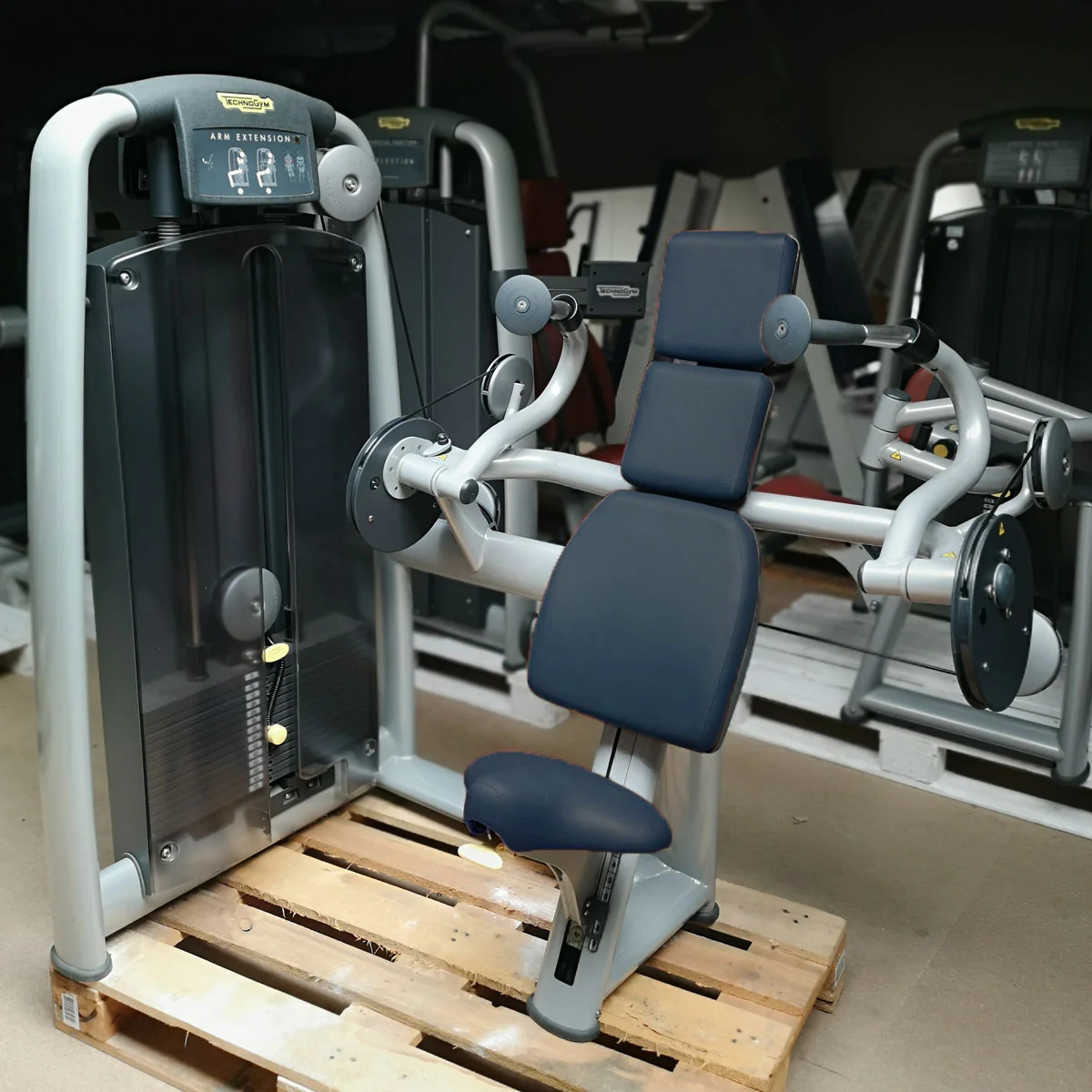 TechnoGym 20 Kraftgeräte im Set, Selection Line, Strength Machines with Stack Weight, gebraucht - überholter Zustand - Image 13