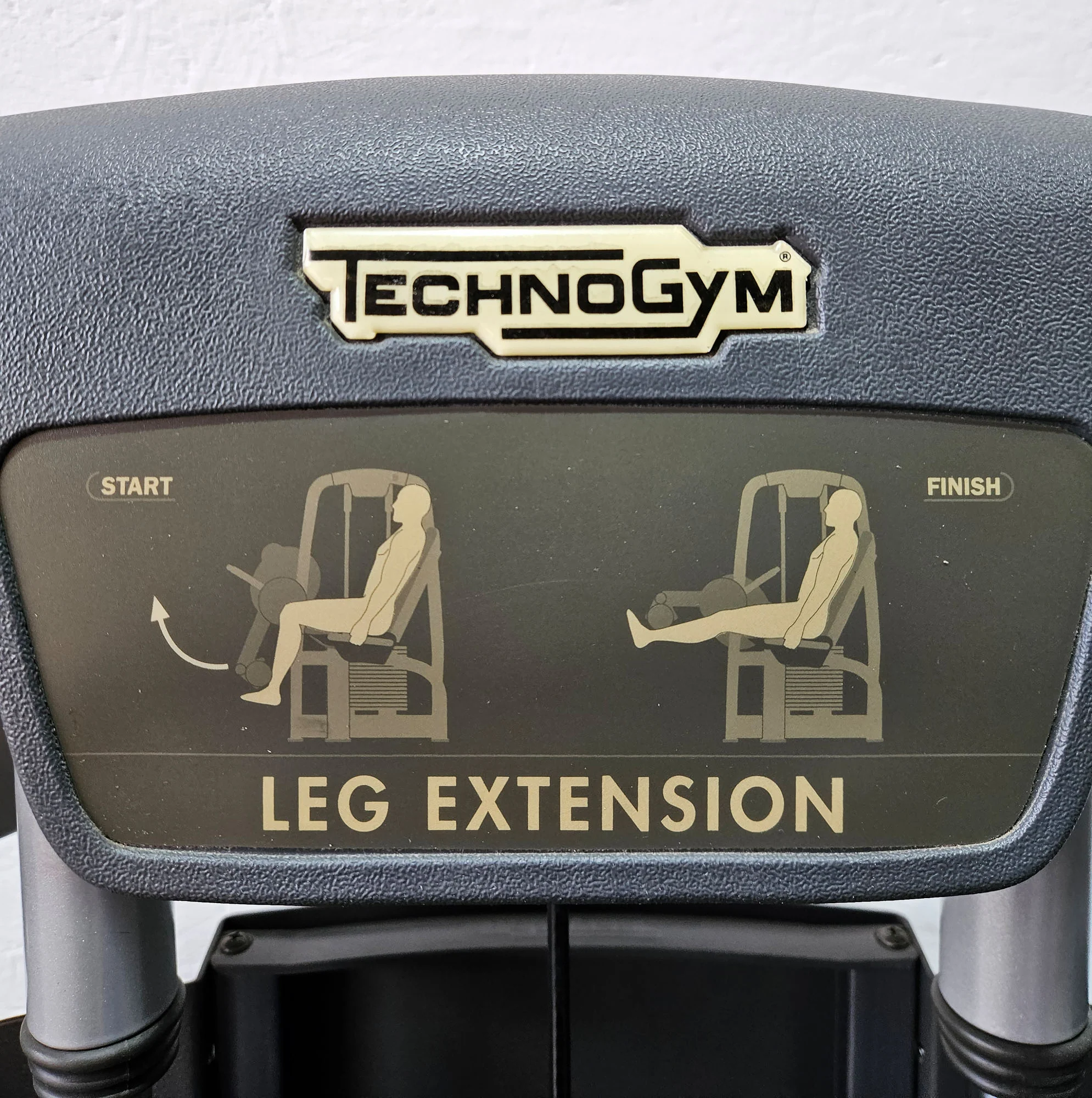 Technogym 2er Set = Beinstrecker und Beinbeuger, Leg Extension and Leg Curl Set, Selection Line, Rahmenfarbe Silber, gebraucht - überholter Zustand - Image 10