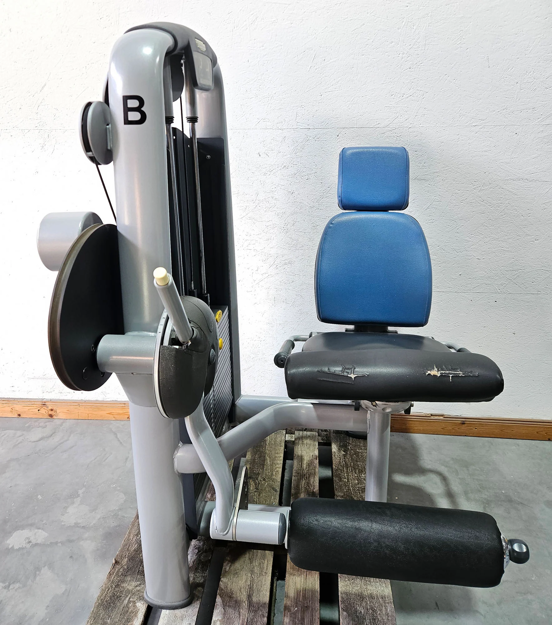 Technogym 2er Set = Beinstrecker und Beinbeuger, Leg Extension and Leg Curl Set, Selection Line, Rahmenfarbe Silber, gebraucht - überholter Zustand - Image 12