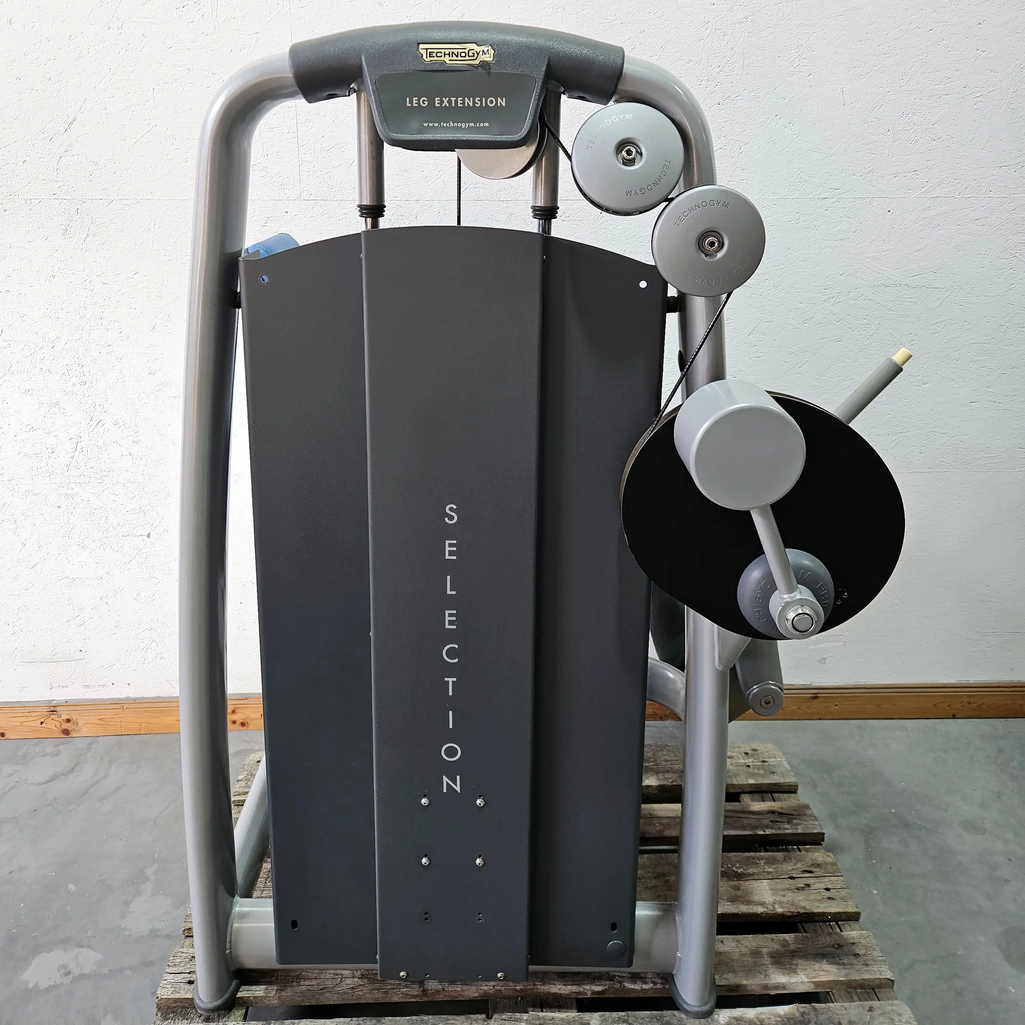 Technogym 2er Set = Beinstrecker und Beinbeuger, Leg Extension and Leg Curl Set, Selection Line, Rahmenfarbe Silber, gebraucht - überholter Zustand - Image 13