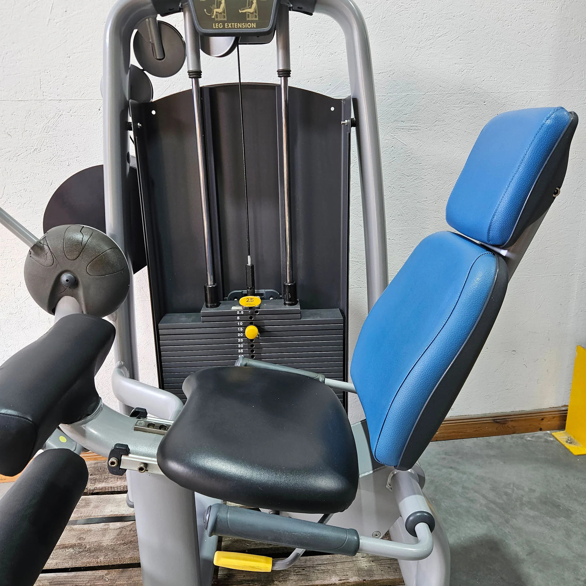 Technogym 2er Set = Beinstrecker und Beinbeuger, Leg Extension and Leg Curl Set, Selection Line, Rahmenfarbe Silber, gebraucht - überholter Zustand - Image 15
