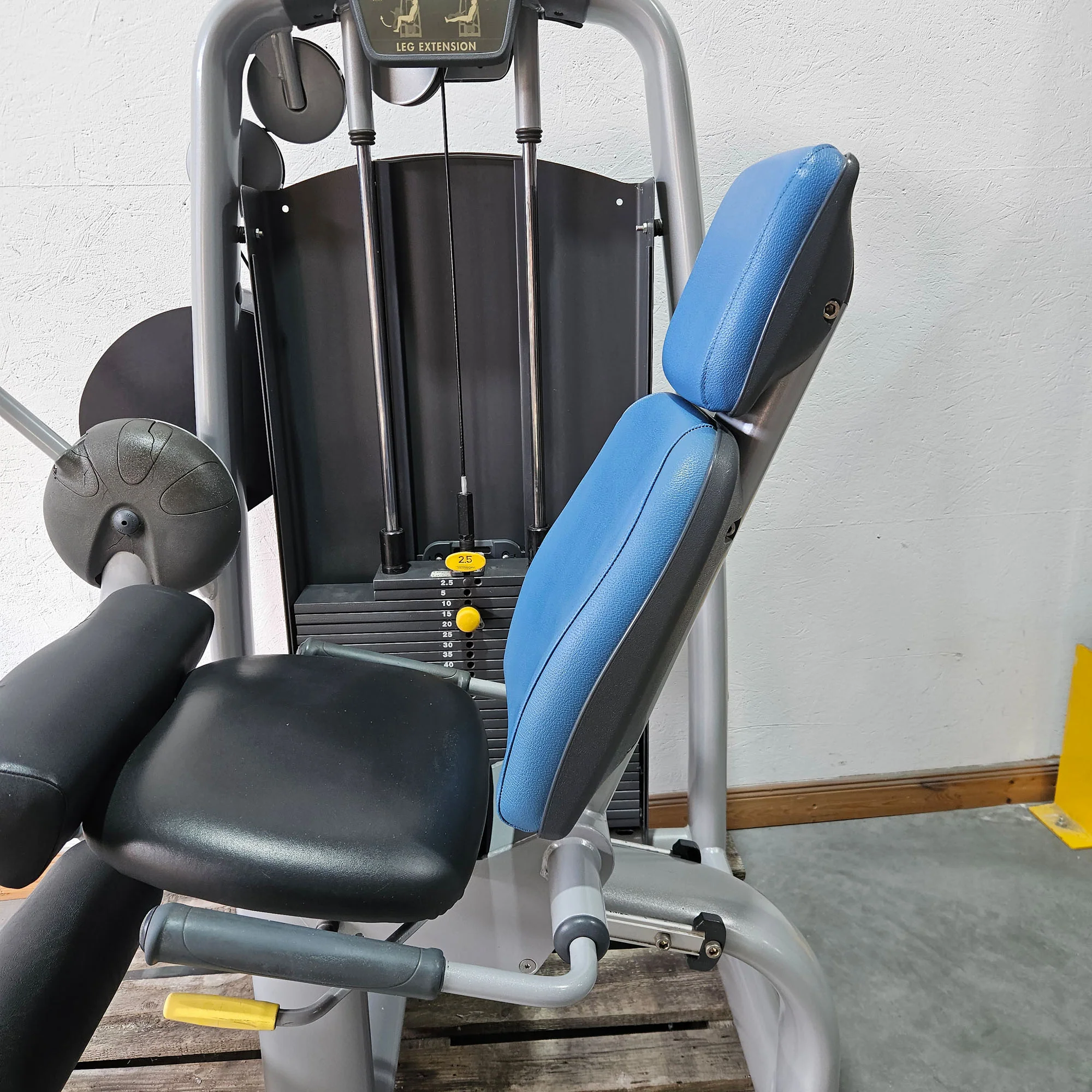 Technogym 2er Set = Beinstrecker und Beinbeuger, Leg Extension and Leg Curl Set, Selection Line, Rahmenfarbe Silber, gebraucht - überholter Zustand - Image 16