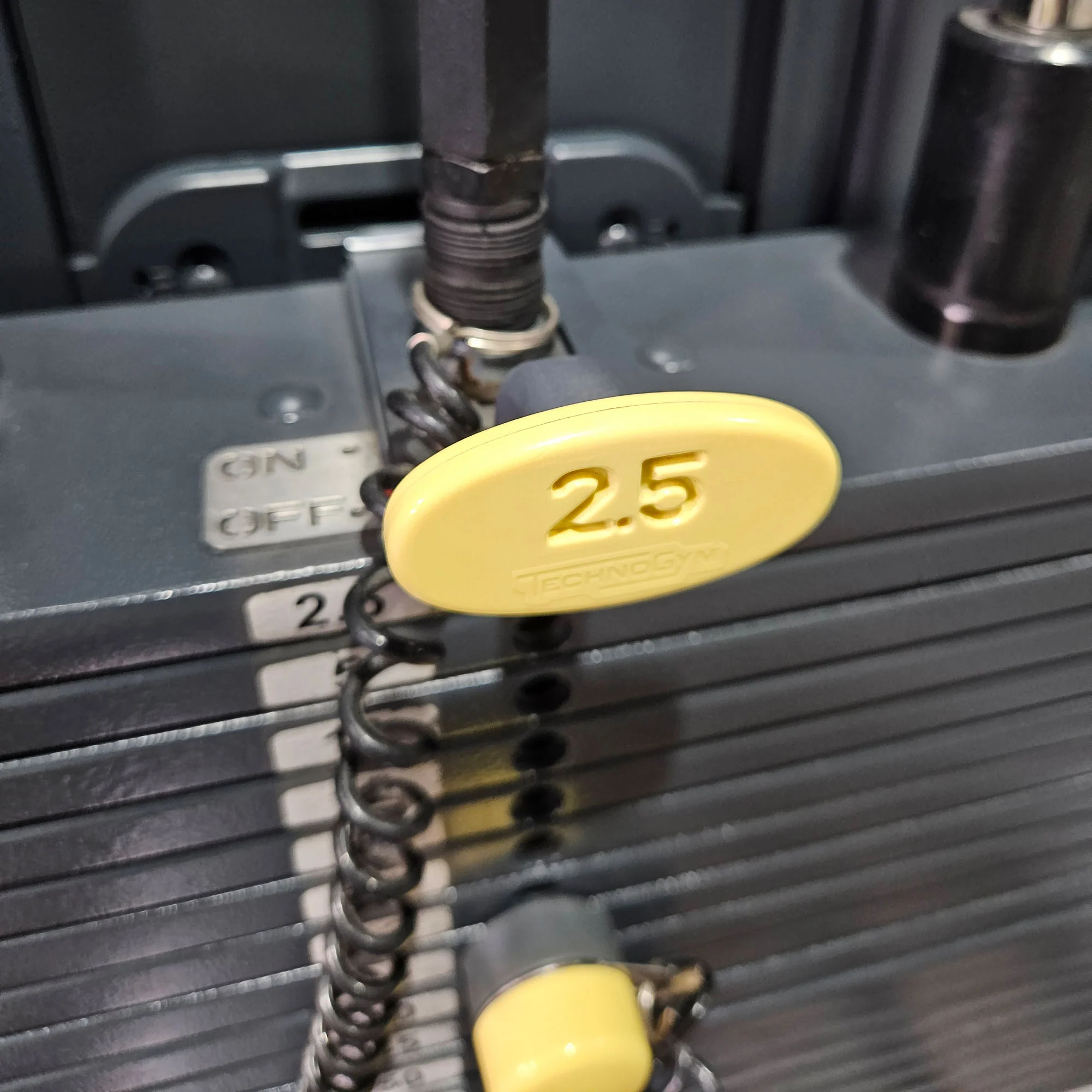 Technogym 2er Set = Beinstrecker und Beinbeuger, Leg Extension and Leg Curl Set, Selection Line, Rahmenfarbe Silber, gebraucht - überholter Zustand - Image 21