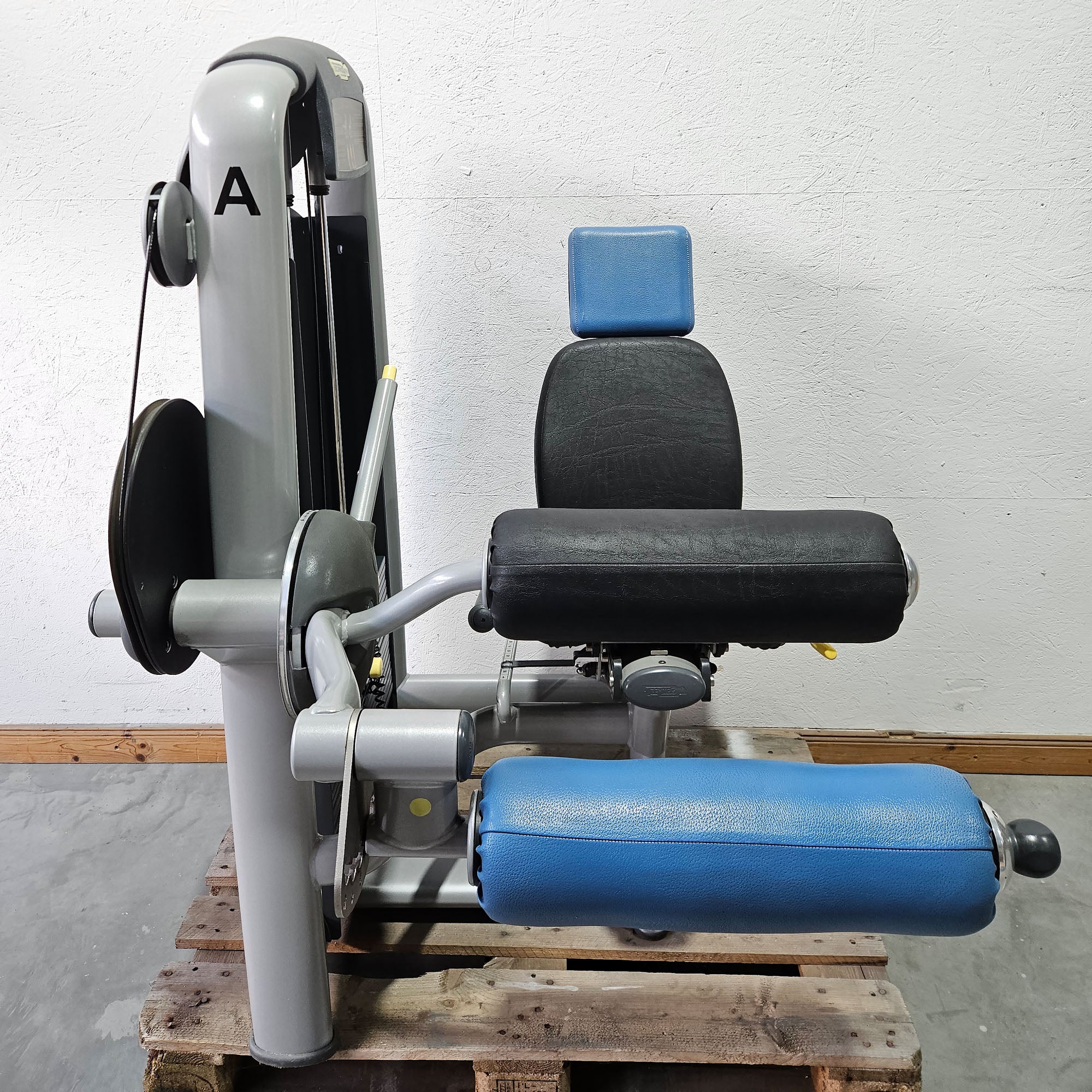 Technogym 2er Set = Beinstrecker und Beinbeuger, Leg Extension and Leg Curl Set, Selection Line, Rahmenfarbe Silber, gebraucht - überholter Zustand - Image 5