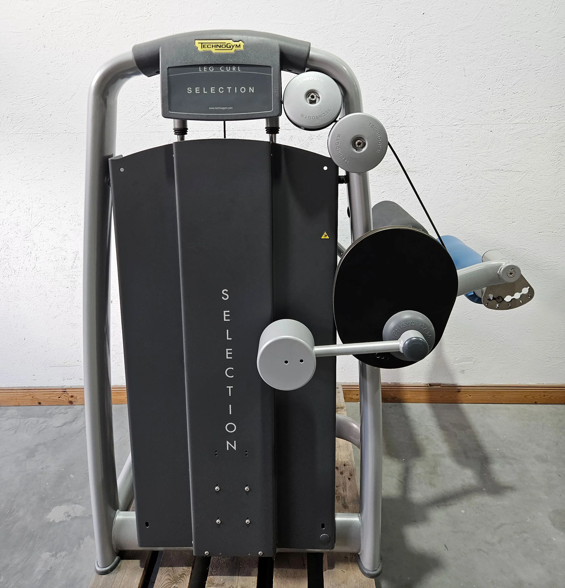 Technogym 2er Set = Beinstrecker und Beinbeuger, Leg Extension and Leg Curl Set, Selection Line, Rahmenfarbe Silber, gebraucht - überholter Zustand - Image 6